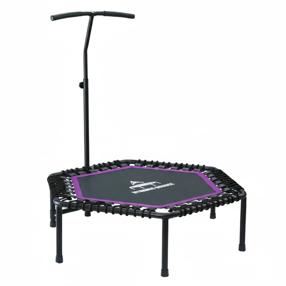 black-and-purple-rebounder-back